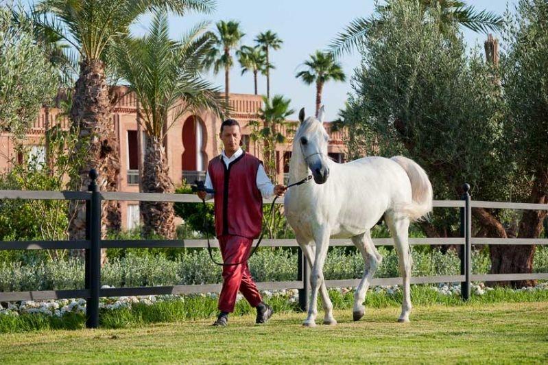 Готель Selman Marrakech El Makina Зручності фото