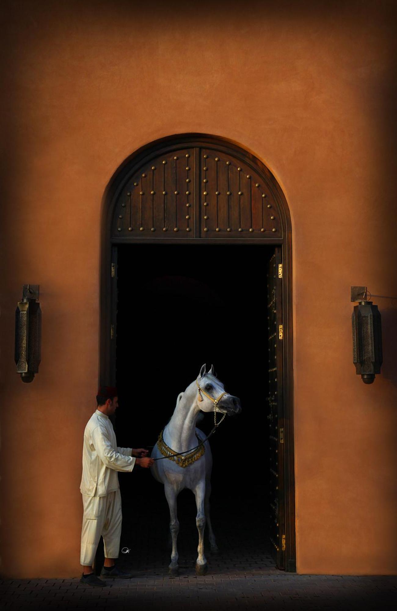 Готель Selman Marrakech El Makina Екстер'єр фото