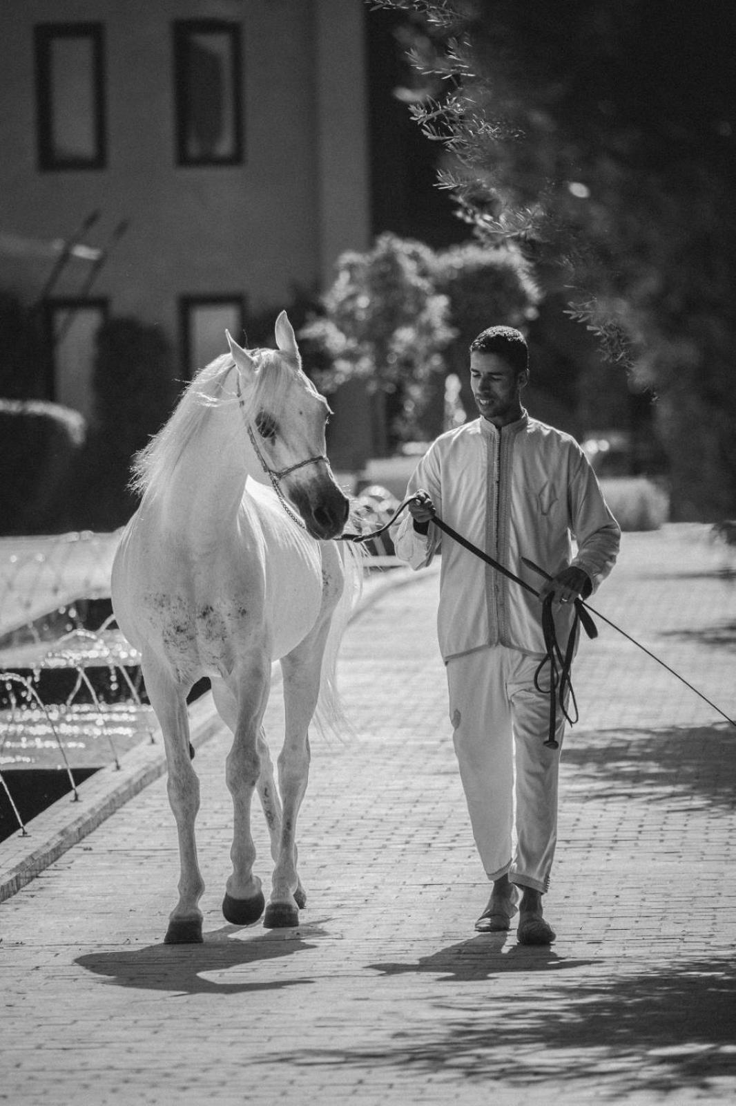 Готель Selman Marrakech El Makina Екстер'єр фото